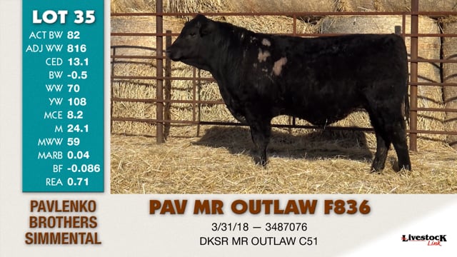 Lot #35 - PAV MR OUTLAW F835