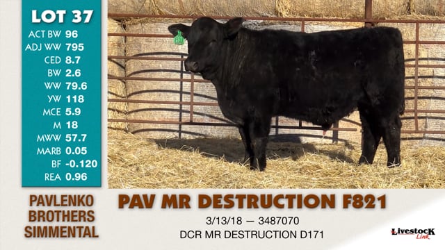 Lot #37 - PAV MR DESTRUCTION F821
