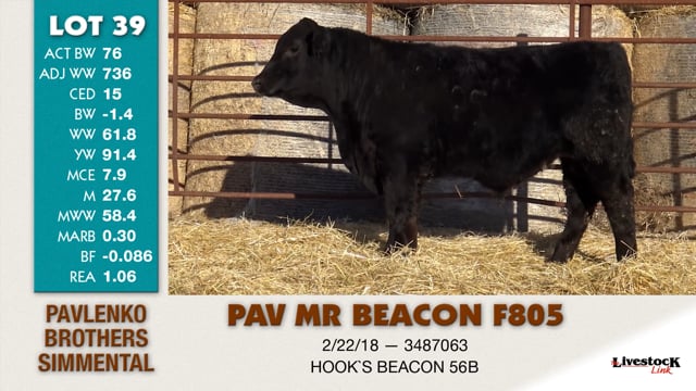 Lot #39 - PAV MR BEACON F805