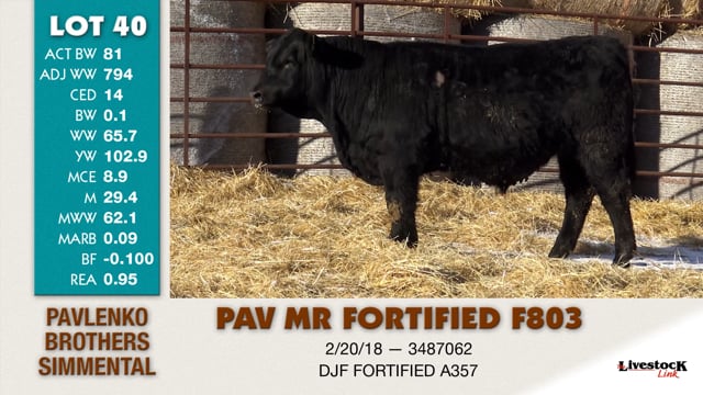 Lot #40 - PAV MR FORTIFIED F803