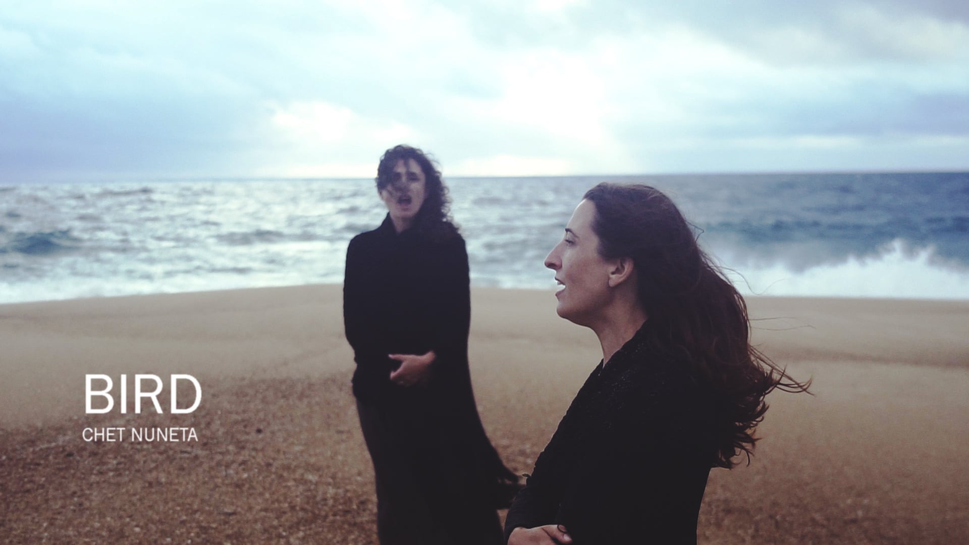 "Bird" - Chet Nuneta :: Official Video