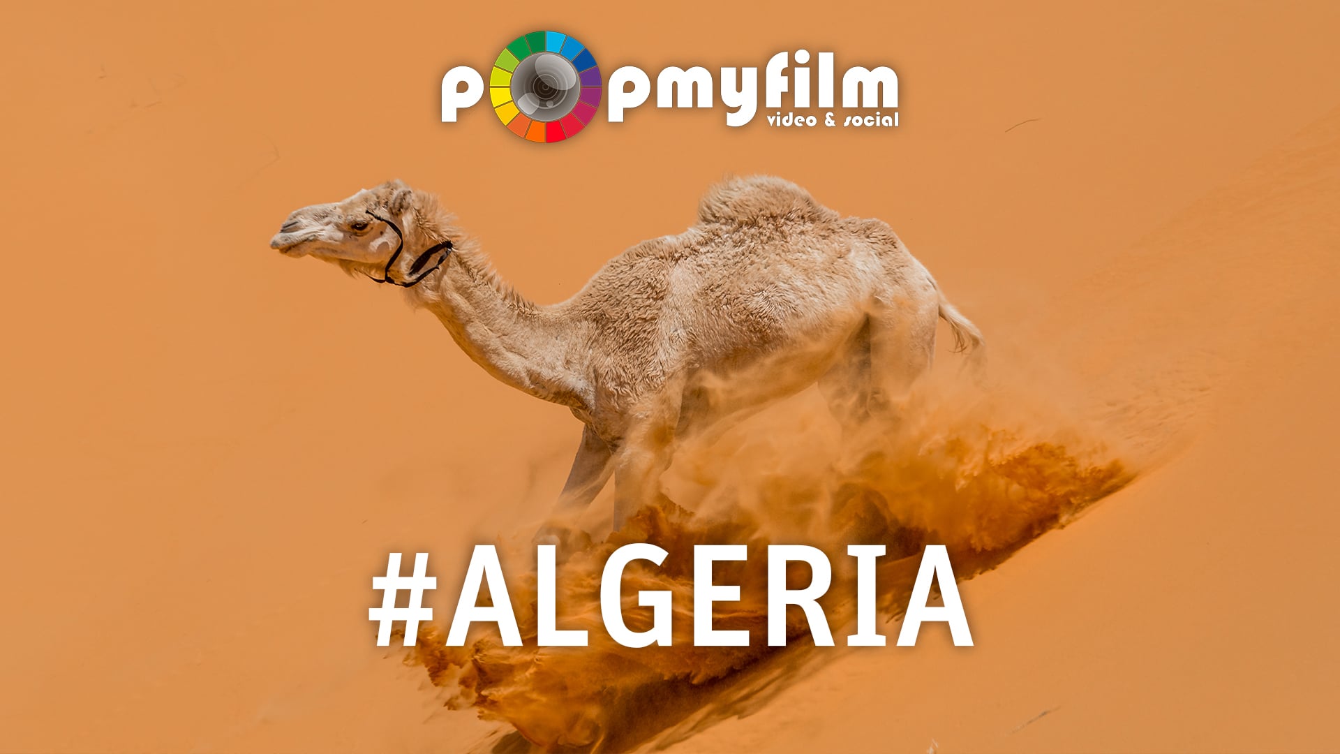 POPMYFILM - Showreel 2018 - #Algeria