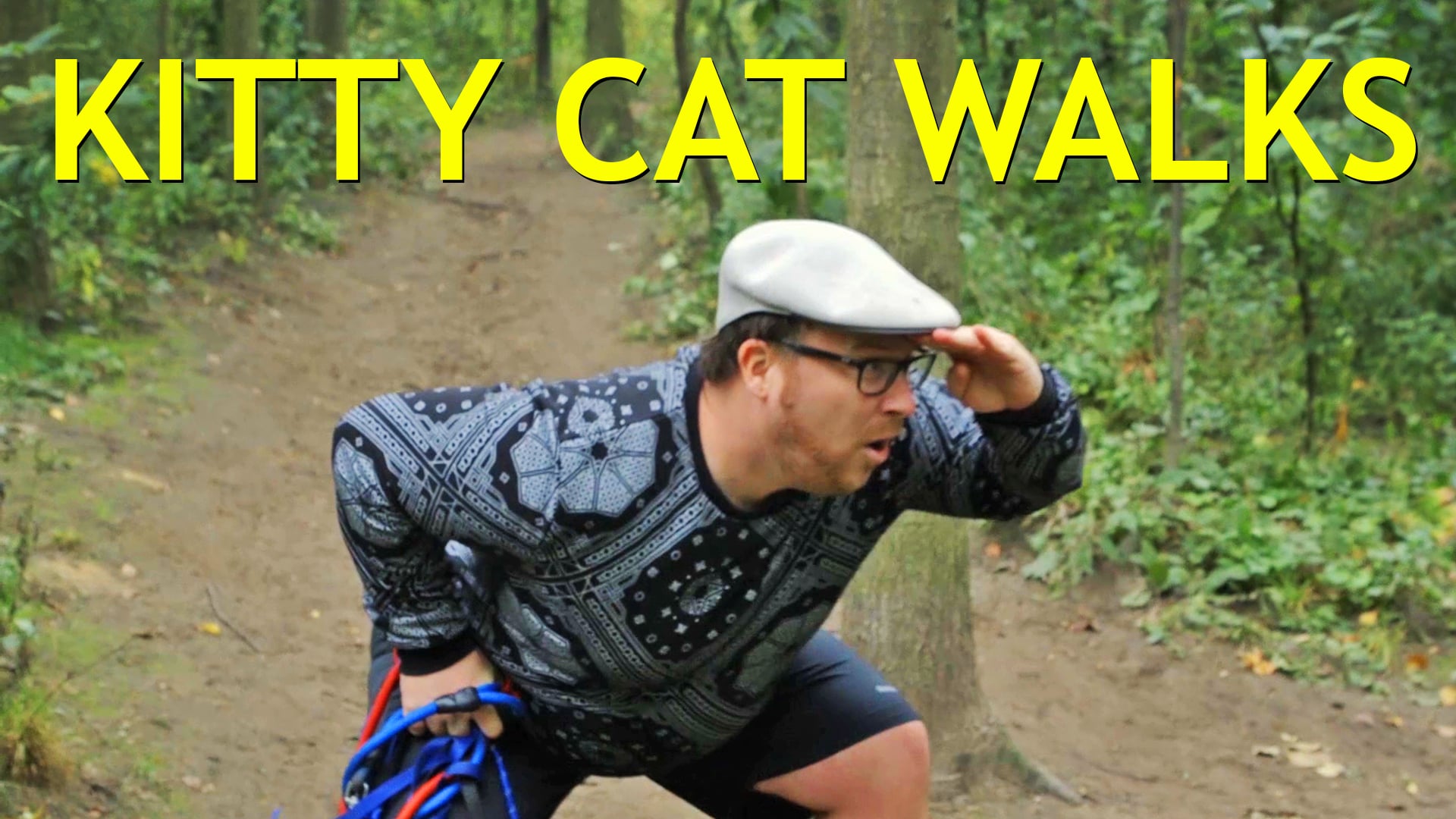 Kitty Cat Walks