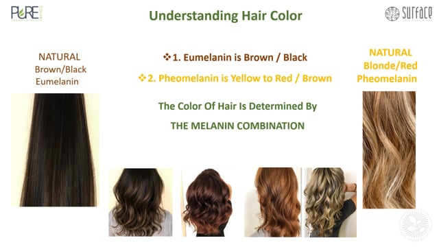 1. How Hair Color Forms Naturally in Color 101 on Vimeo