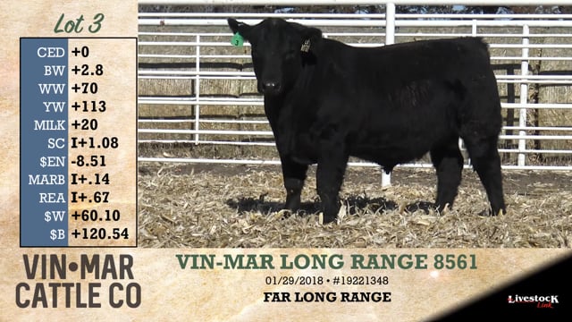 Lot #3 - VIN-MAR LONG RANGE 8561