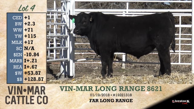 Lot #4 - VIN-MAR LONG RANGE 8621