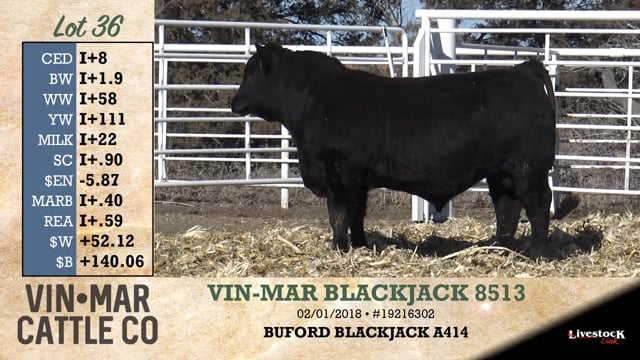 Lot #36 - VIN-MAR BLACKJACK 8513