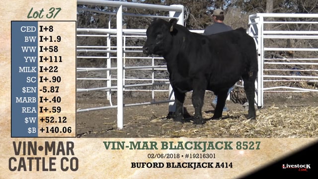 Lot #37 - VIN-MAR BLACKJACK 8527