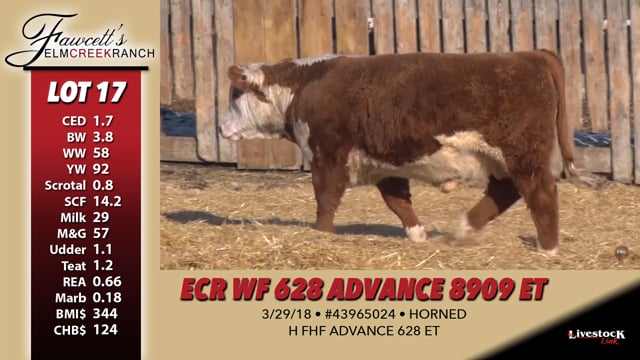 Lot #17 - ECR WF 628 ADVANCE 8909 ET