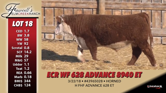 Lot #18 - ECR WF 628 ADVANCE 8940 ET