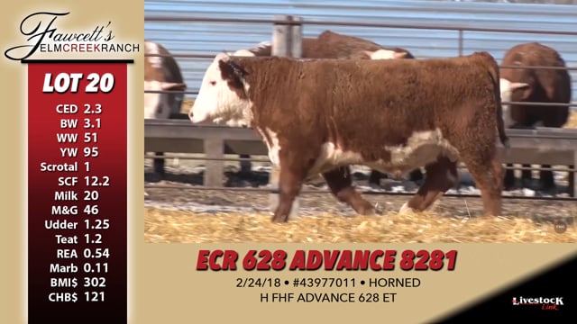 Lot #20 - ECR 628 ADVANCE 8281