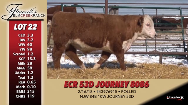 Lot #22 - ECR 53D JOURNEY 8086