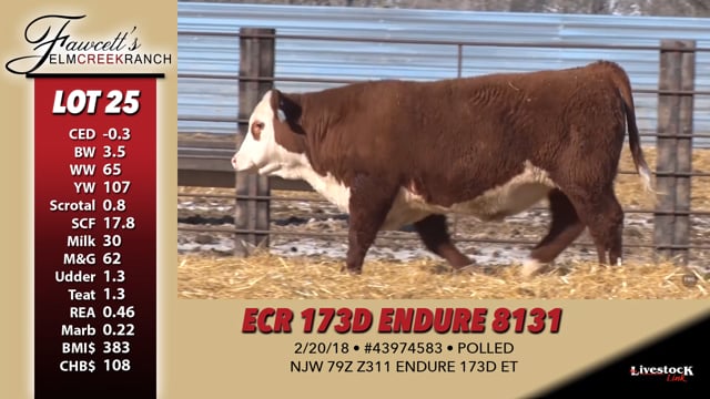 Lot #25 - ECR 173D ENDURE 8131