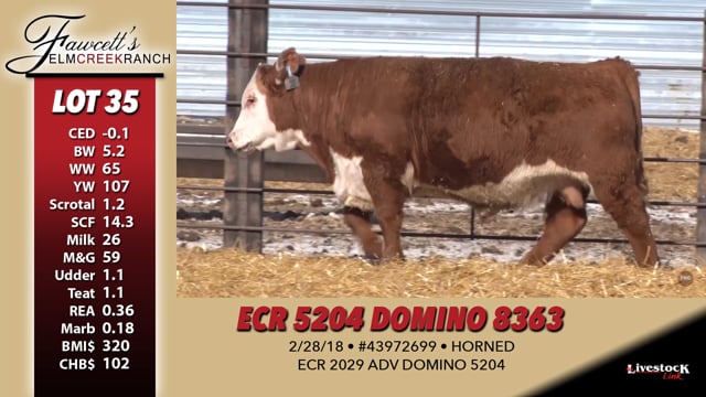 Lot #35 - ECR 5204 DOMINO 8363