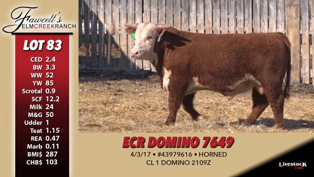 Lot #83 - ECCR DOMINO 7649