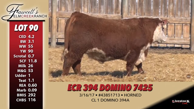 Lot #90 - ECR 394 DOMINO 7425