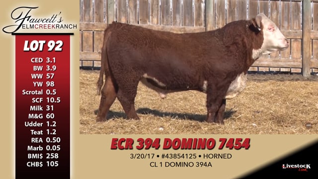 Lot #92 - ECR 394 DOMINO 7454