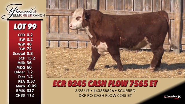 Lot #99 - ECR 0245 CASH FLOW 7565 ET
