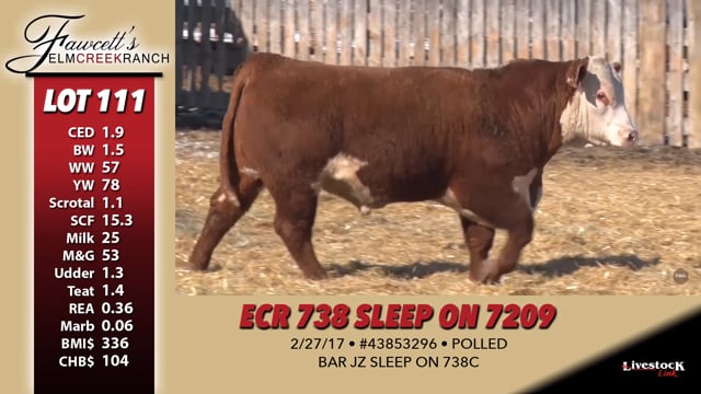 Lot #111 - ECR 738 SLEEP ON 7209