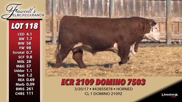 Lot #118 - ECR 2109 DOMINO 7503