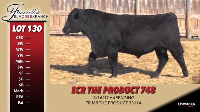 Lot #130 - ECR THE PRODUCT 748