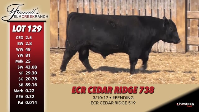 Lot #129 - ECR CEDAR RIDGE 738