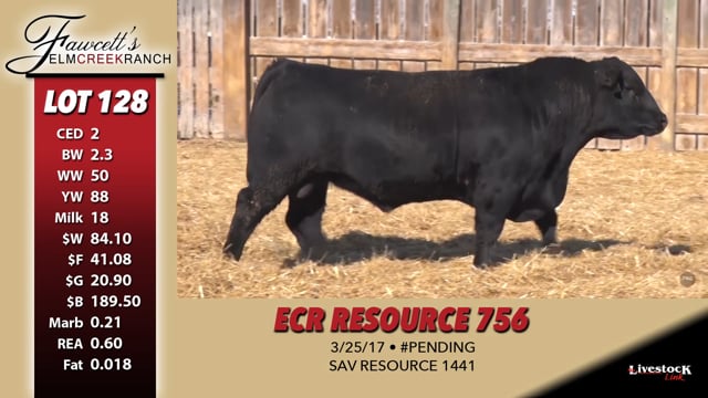 Lot #128 - ECR RESOURCE 756