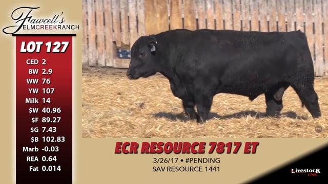 Lot #127 - ECR RESOURCE 7817 ET