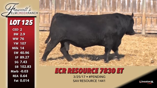 Lot #125 - ECR RESOURCE 7830 ET