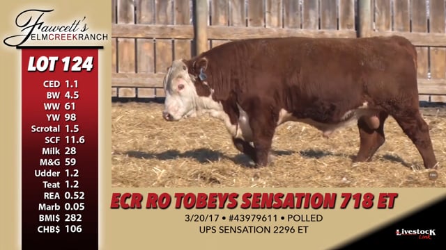 Lot #124 - ECR RO TOBEYS SENSATION 718 ET