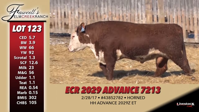 Lot #123 - ECR 2029 ADVANCE 7213
