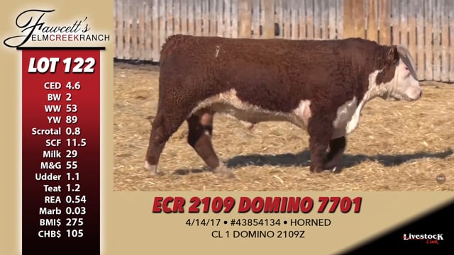 Lot #122 - ECR 2109 DOMINO 7701