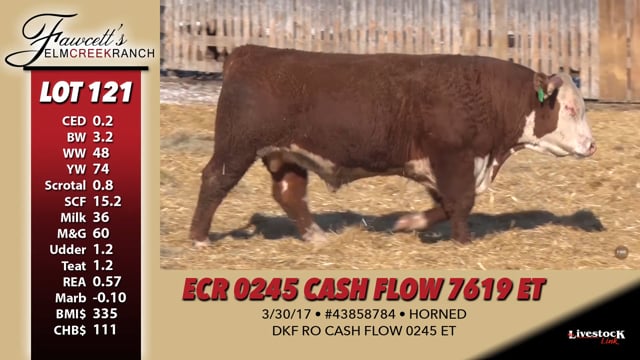 Lot #121 - ECR 0245 CASH FLOW 7619 ET