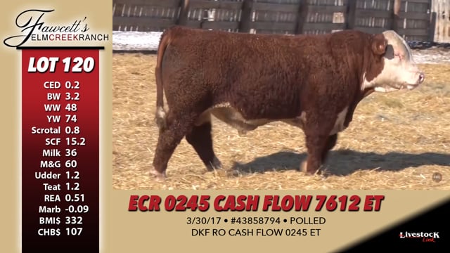 Lot #120 - ECR 0245 CASH FLOW 7612 ET