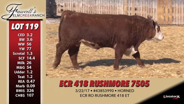 Lot #119 - ECR 418 RUSHMORE 7505