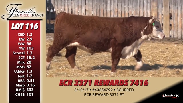 Lot #116 - ECR 3371 REWARDS 7416