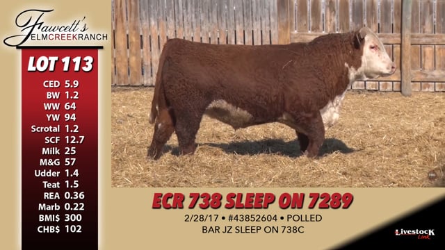 Lot #113 - ECR 738 SLEEP ON 7289