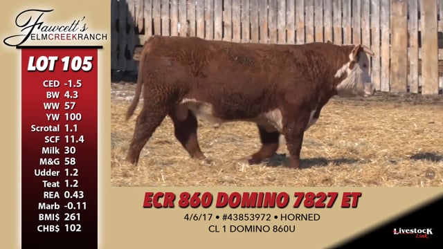 Lot #105 - ECR 860 DOMINO 7827 ET