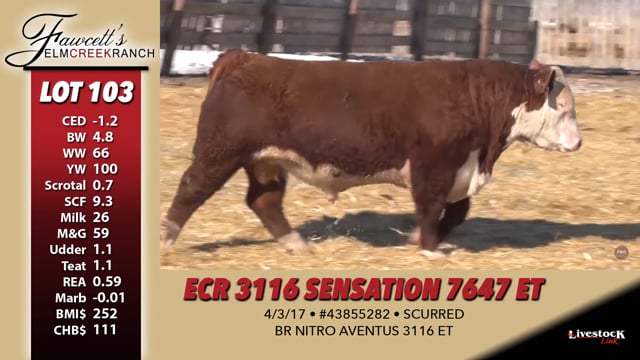 Lot #103 - ECR 3116 SENSATION 7647 ET