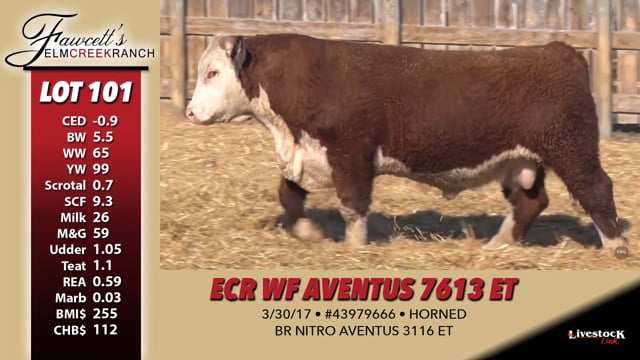 Lot #101 - ECR WF AVENTUS 7613 ET