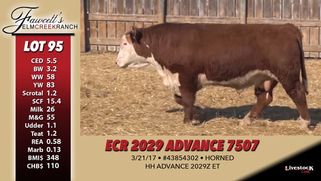 Lot #95 - ECR 2029 ADVANCE 7507