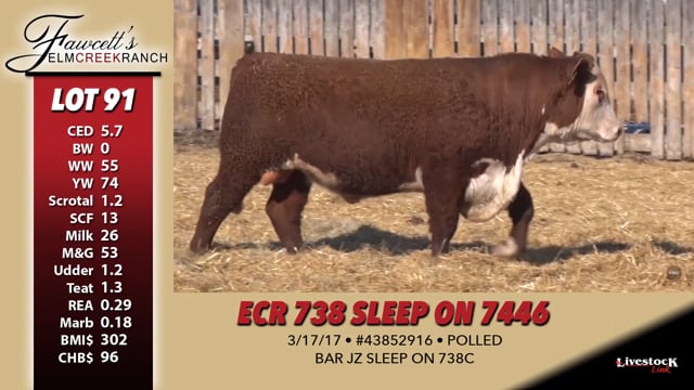Lot #91 - ECR 738 SLEEP ON 7446