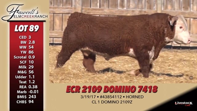 Lot #89 - ECR 2109 DOMINO 7418