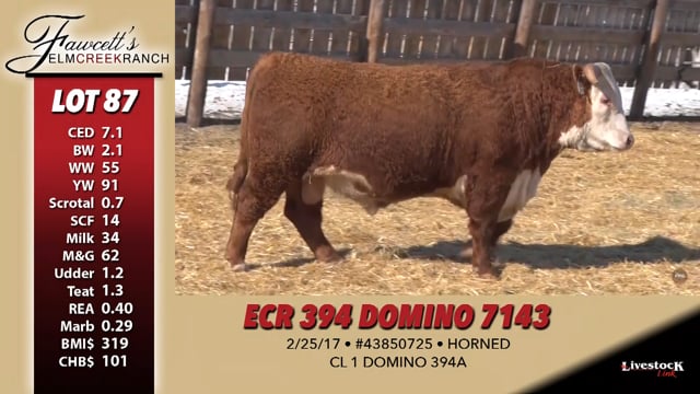 Lot #87 - ECR 394 DOMINO 7143