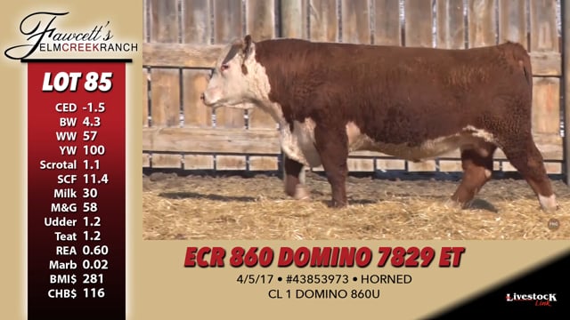Lot #85 - ECR 860 DOMINO 7829 ET