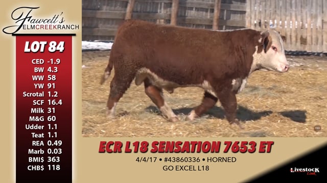 Lot #84 - ECR L18 SENSATION 7653 ET