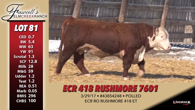 Lot #81 - ECR 418 RUSHMORE 7601