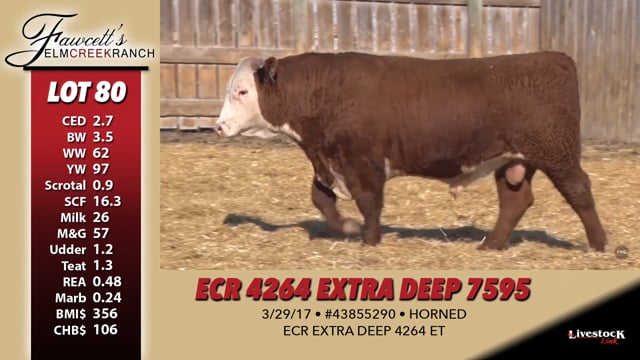 Lot #80 - ECR 4264 EXTRA DEEP 7595