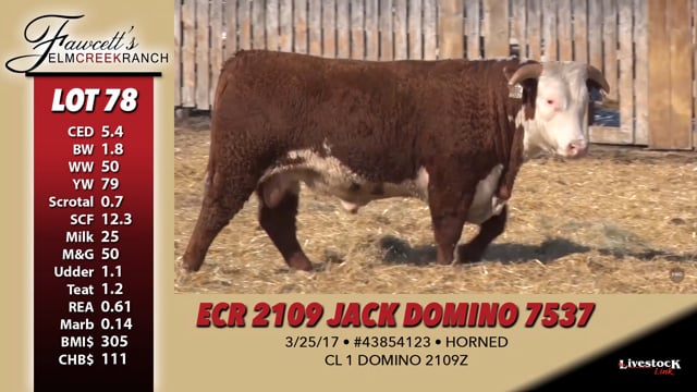 Lot #78 - ECR 2109 JACK DOMINO 7537
