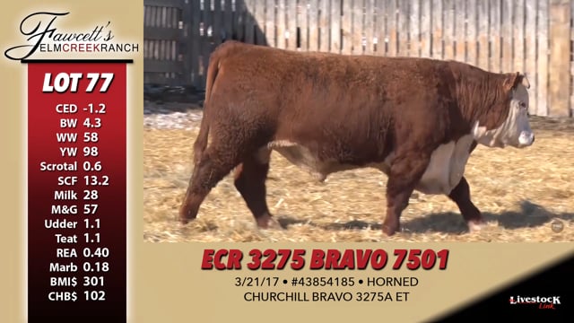 Lot #77 - ECR 3275 BRAVO 7501